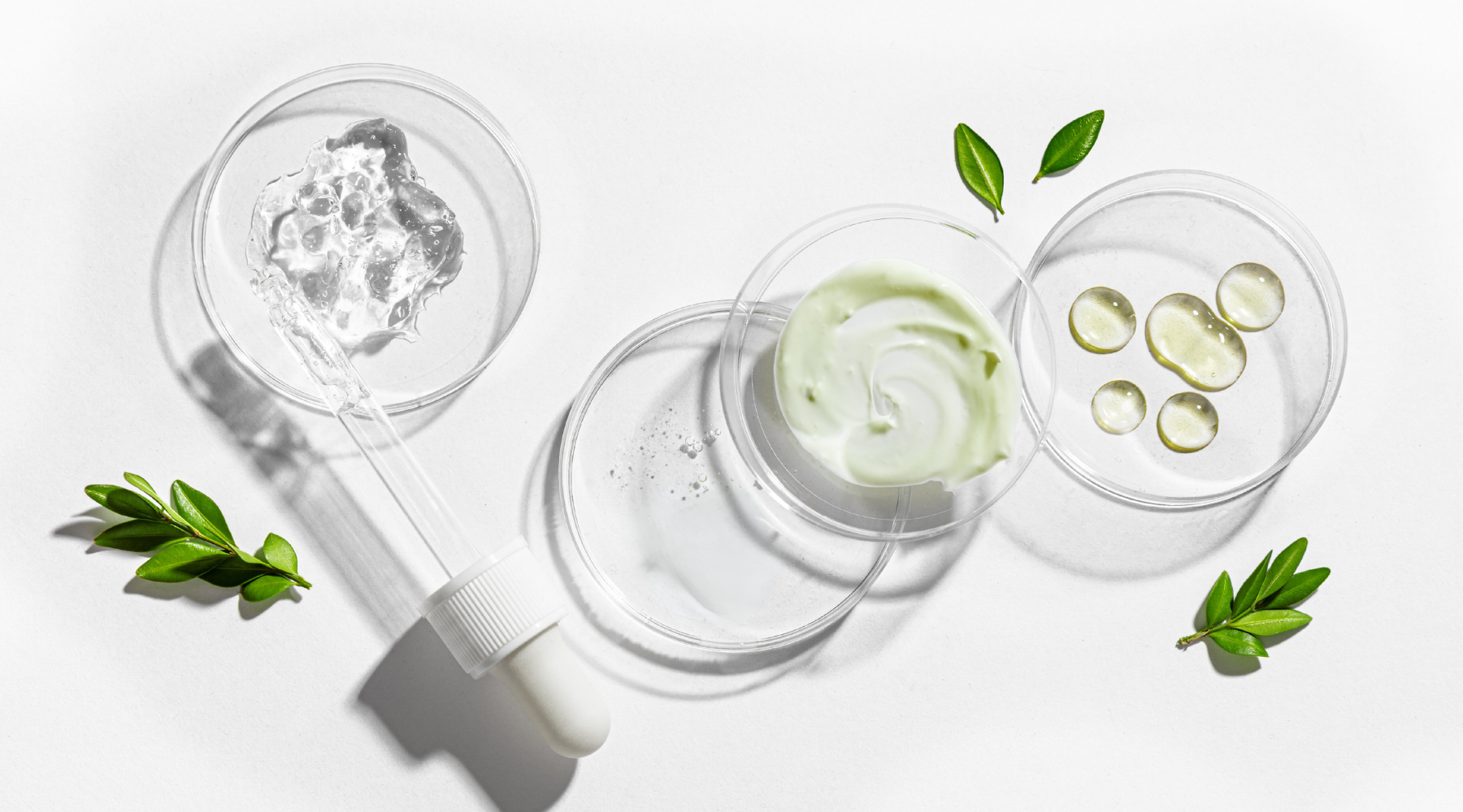 Skincare formulas in petri dishes with dropper and botanical elements