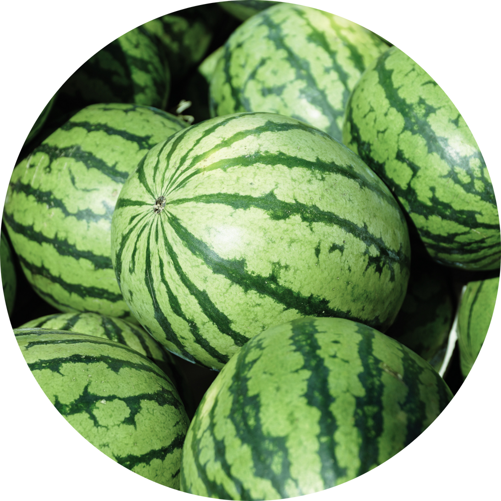 Group of watermelons with green rind and black stripes 